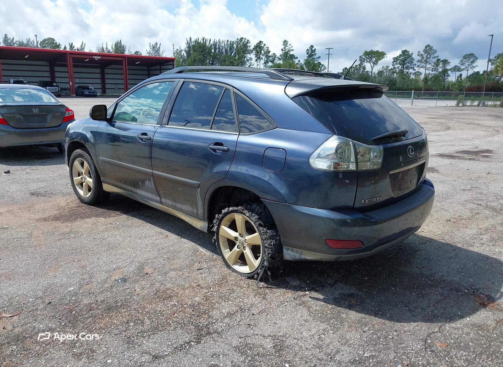 Lexus RX 2004