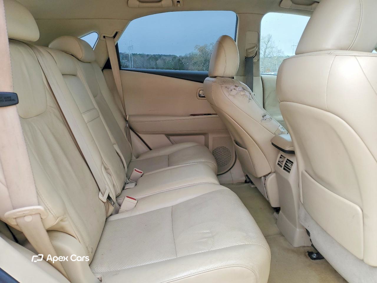 Lexus RX 2010