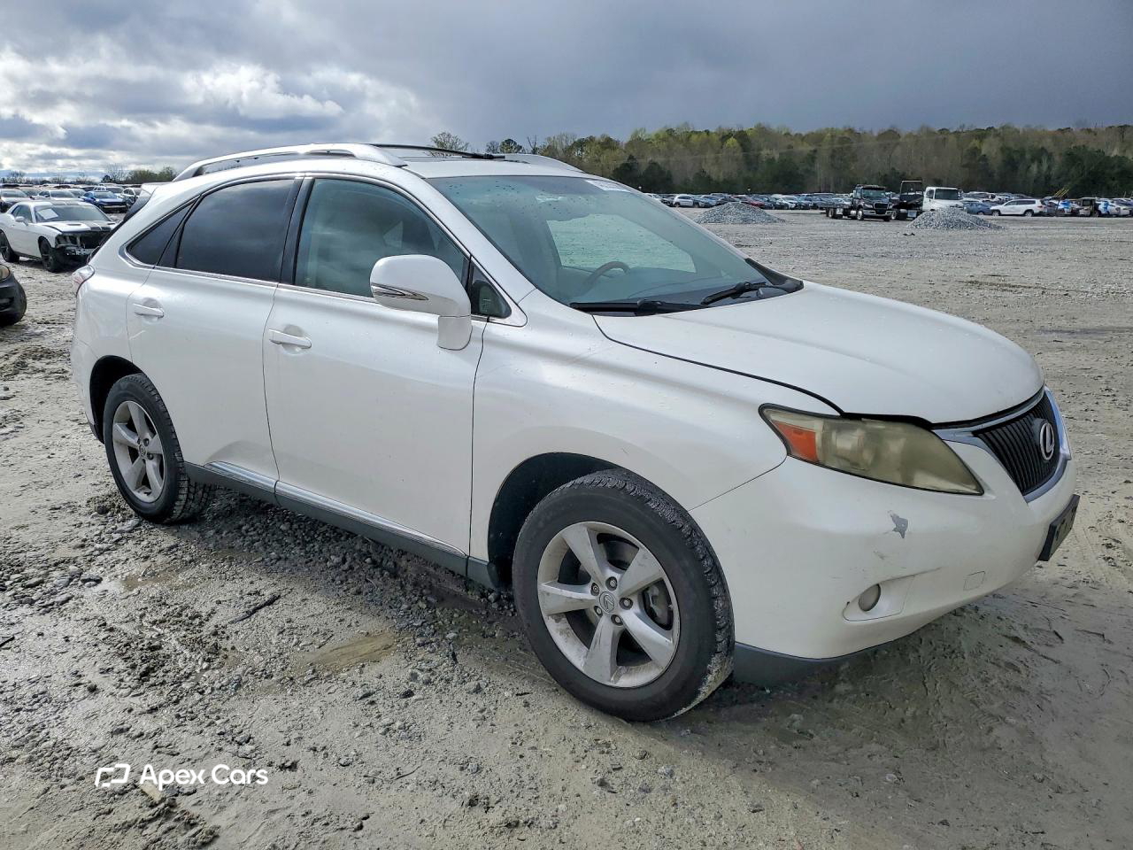Lexus RX 2010