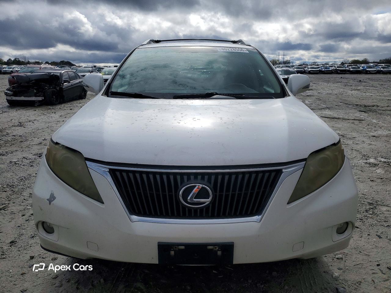 Lexus RX 2010