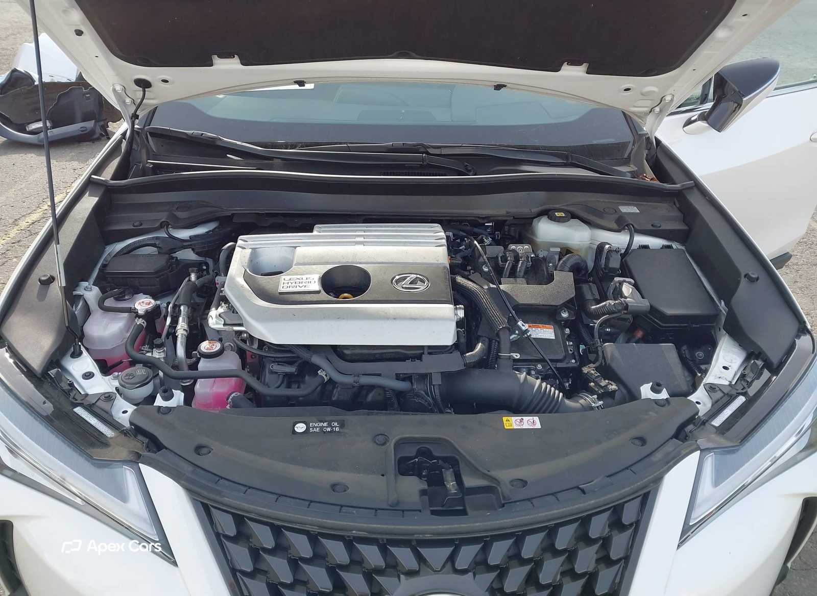 Lexus UX 2021