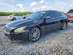 Nissan Maxima 2011