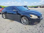 Nissan Maxima 2011