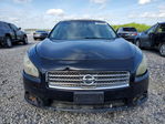Nissan Maxima 2011