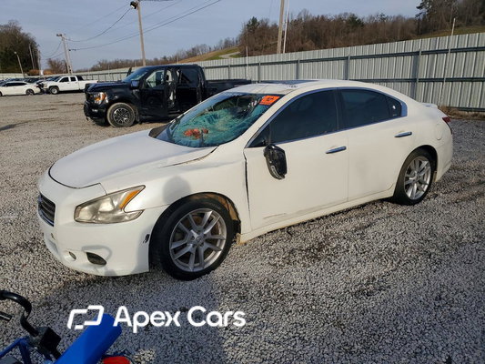 Nissan Maxima 2010 - Image 1 of 12