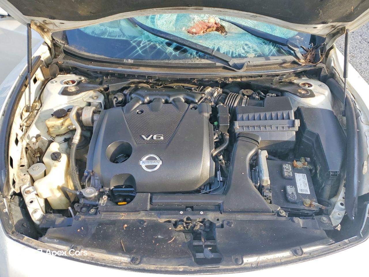Nissan Maxima 2010
