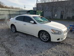 Nissan Maxima 2010