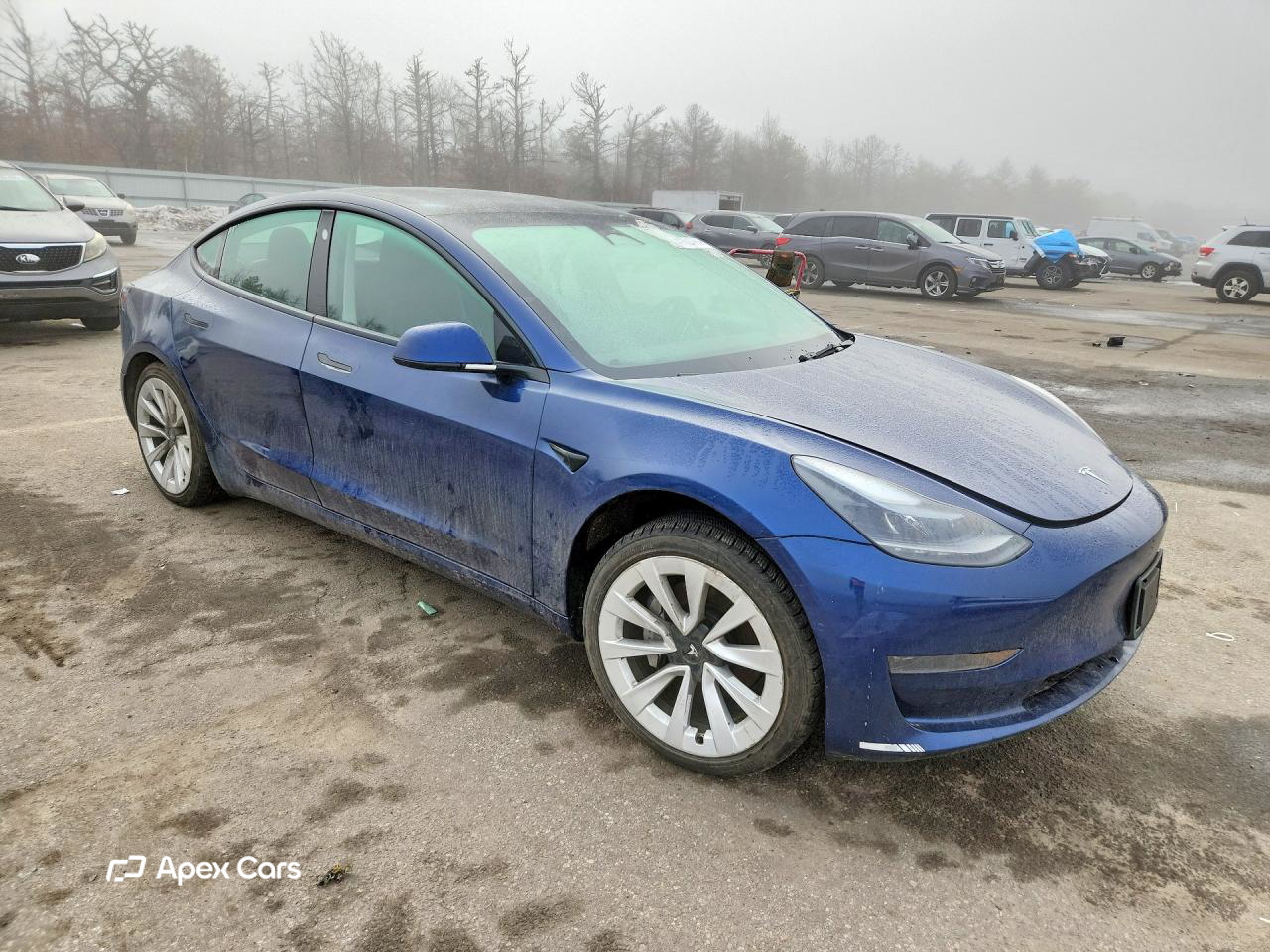 Tesla Model 3 2022