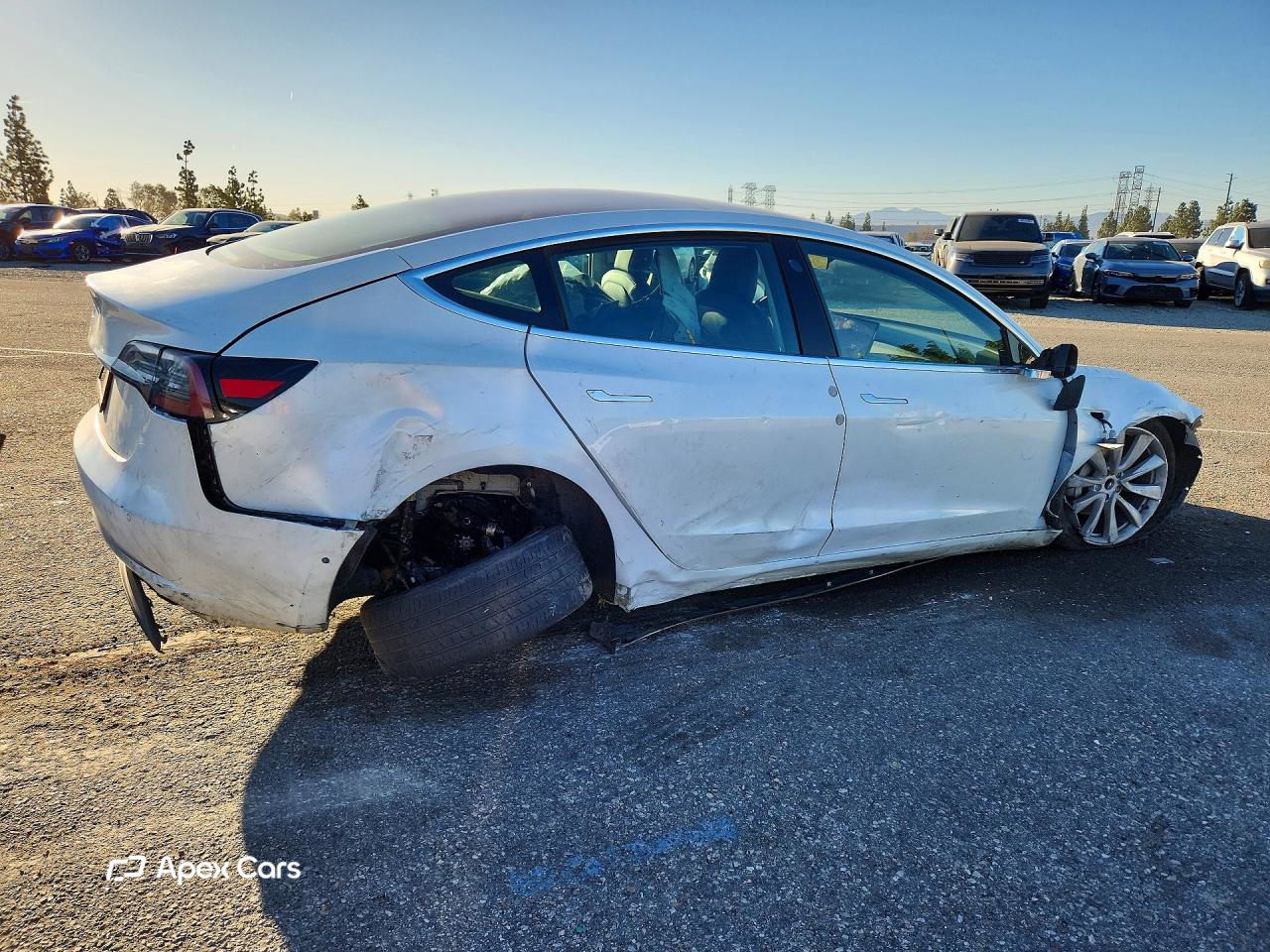 Tesla Model 3 2020