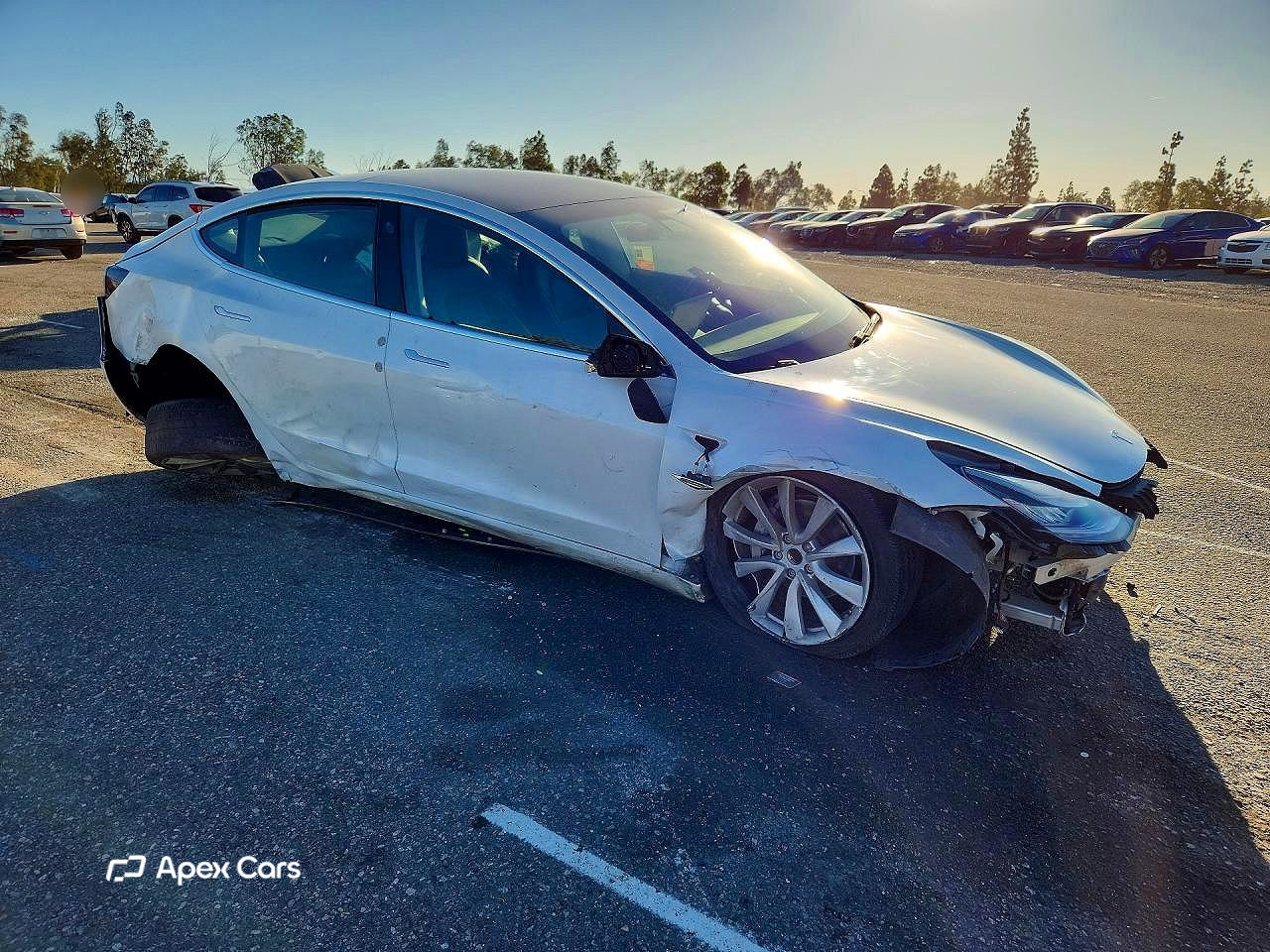 Tesla Model 3 2020