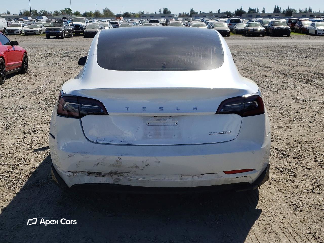 Tesla Model 3 2019