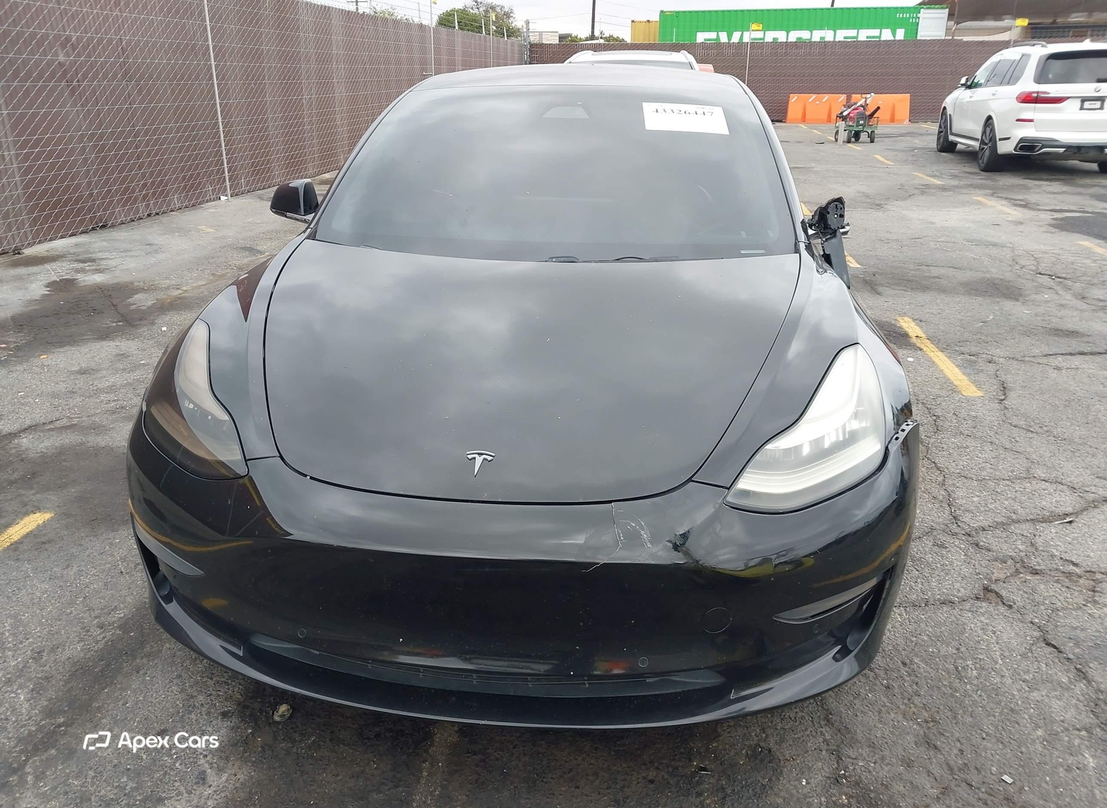 Tesla Model 3 2019