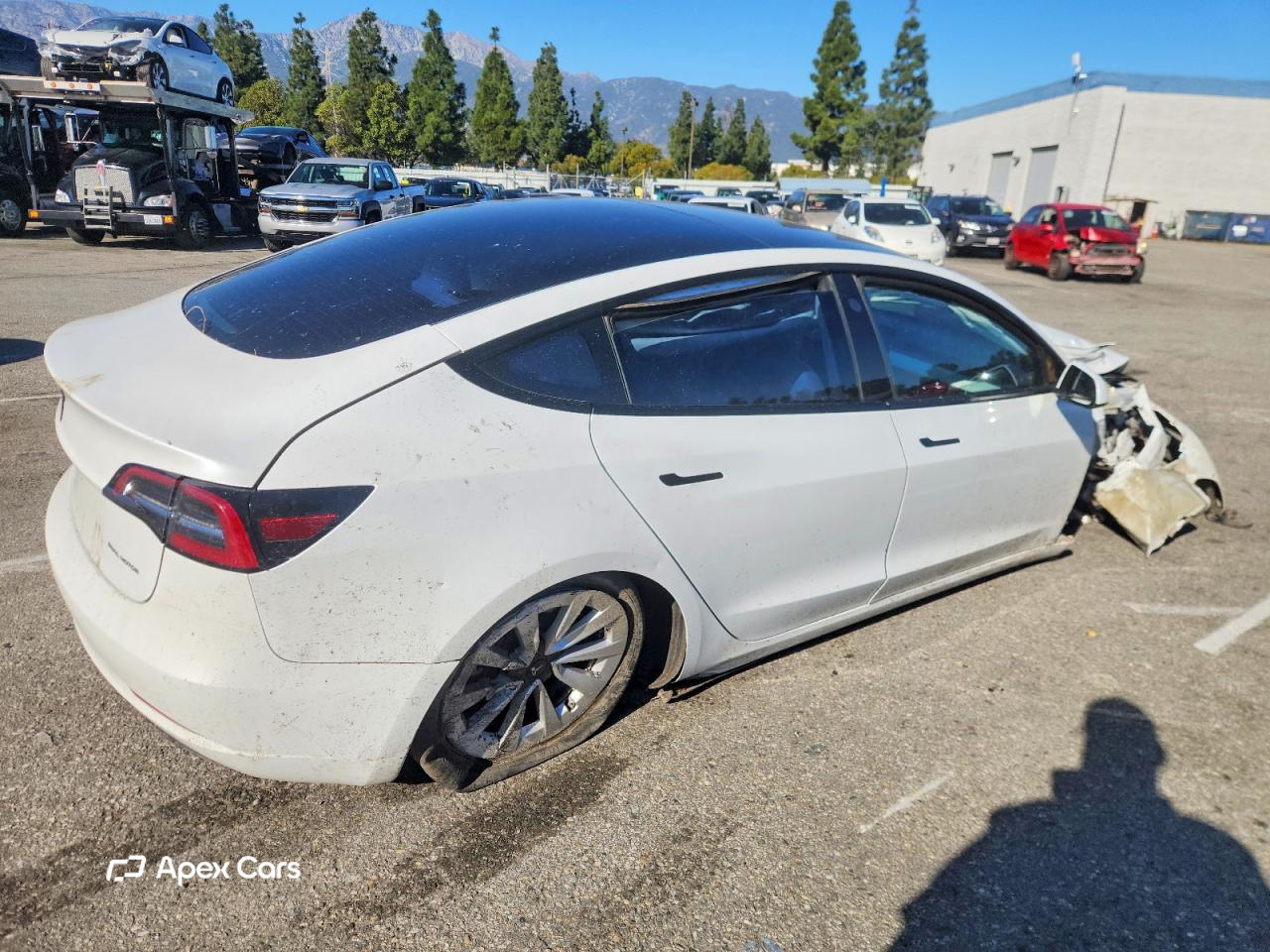 Tesla Model 3 2022