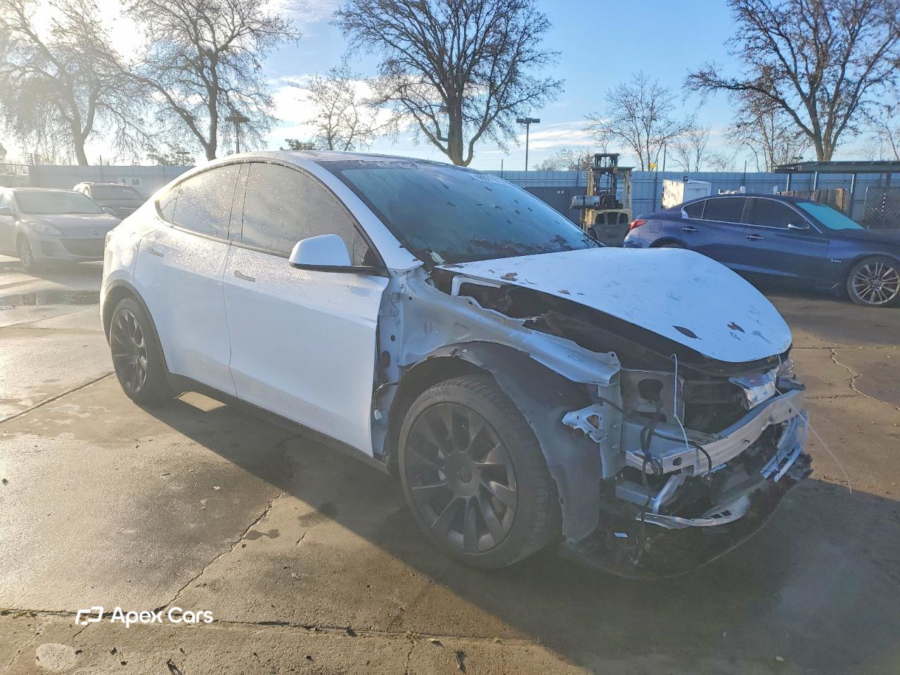 Tesla Model Y 2021