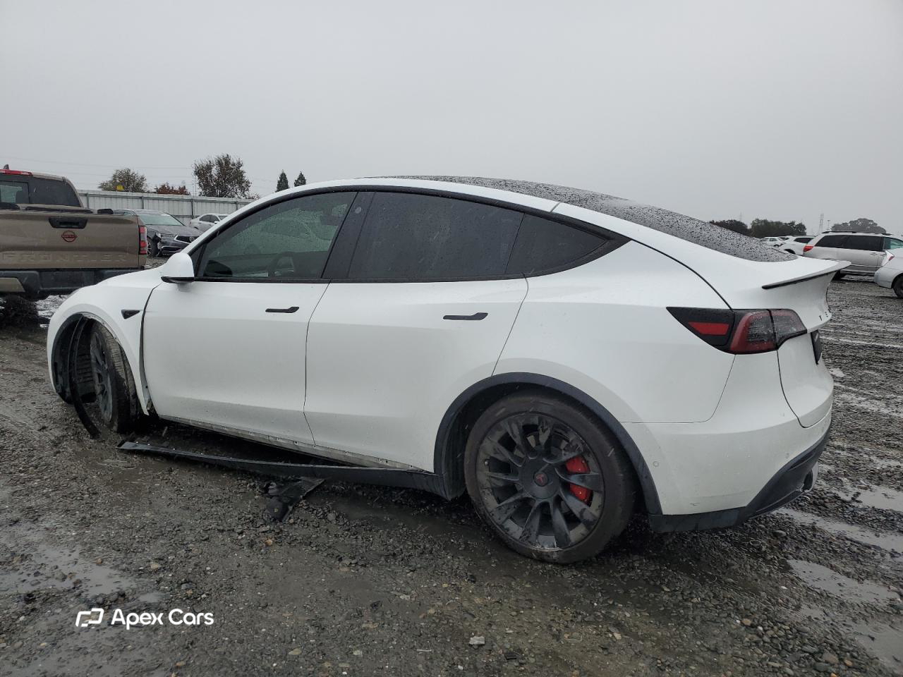 Tesla Model Y 2021