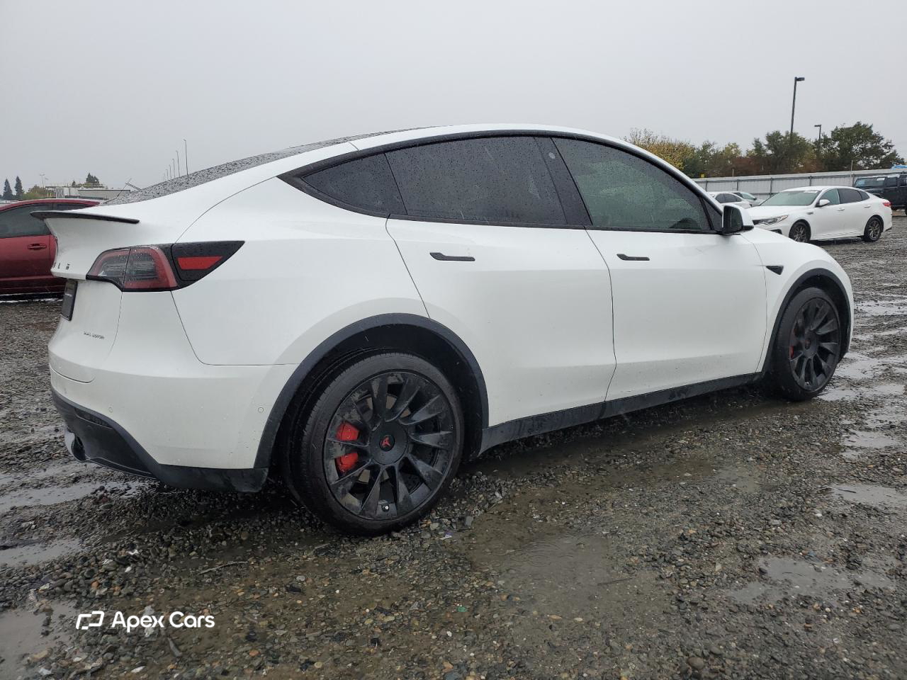 Tesla Model Y 2021