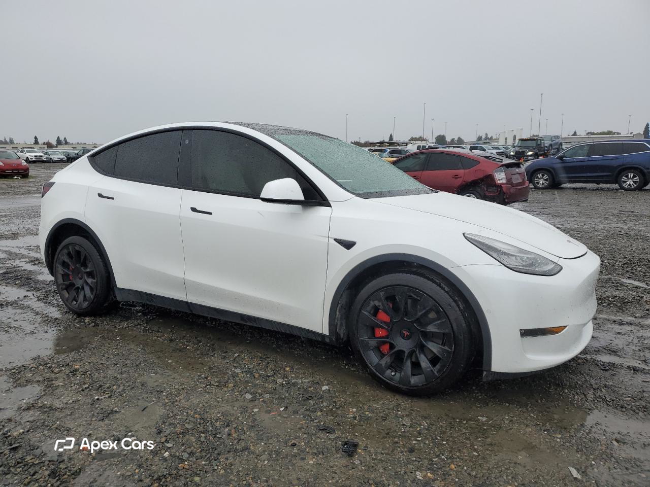 Tesla Model Y 2021