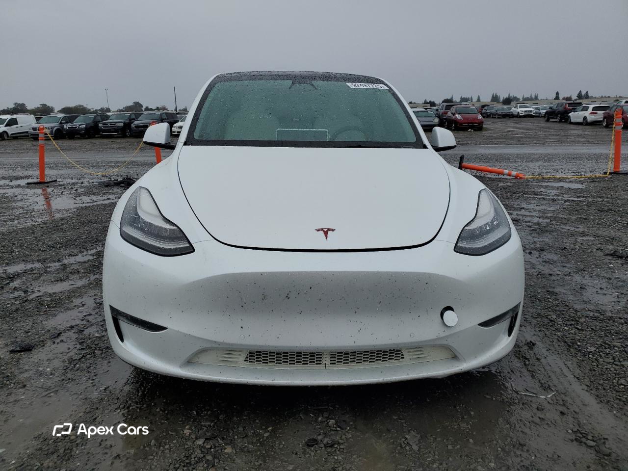 Tesla Model Y 2021