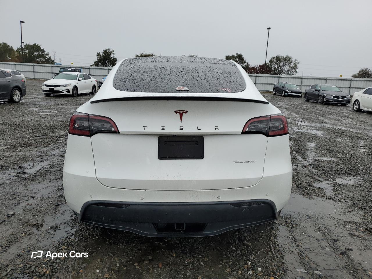 Tesla Model Y 2021