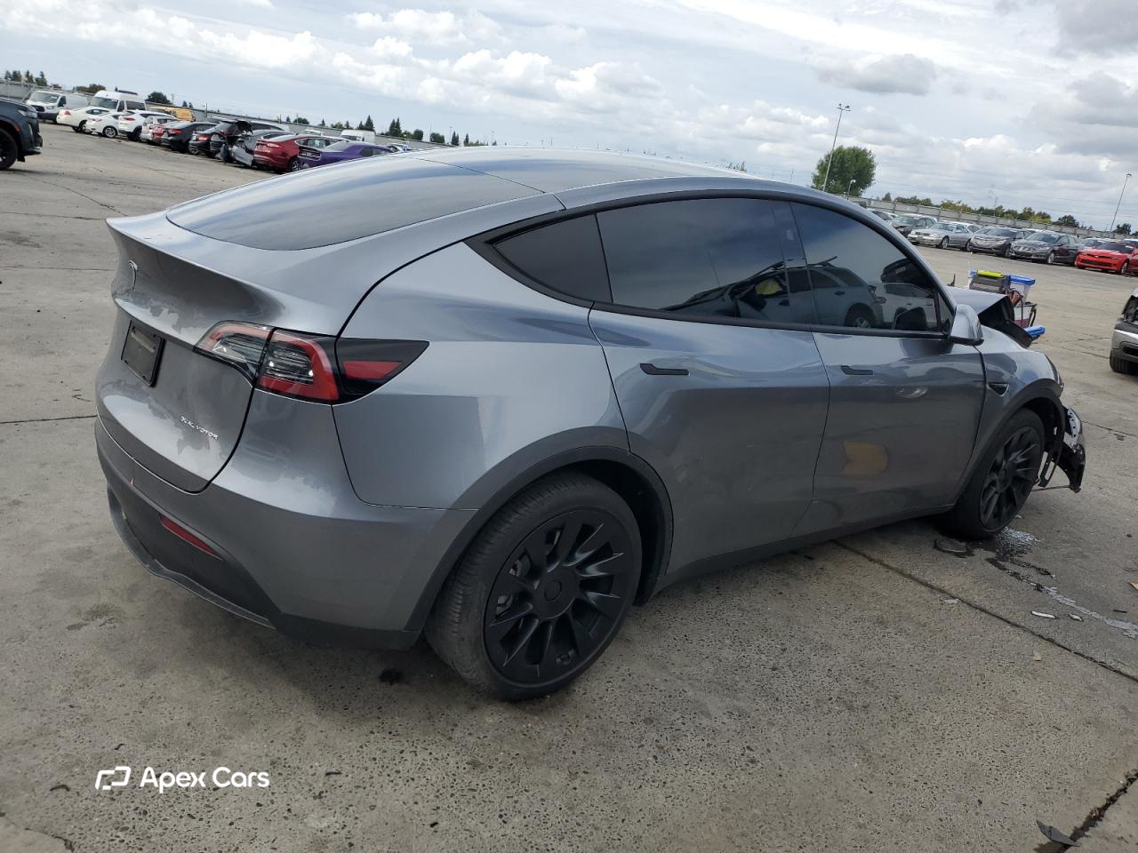 Tesla Model Y 2024