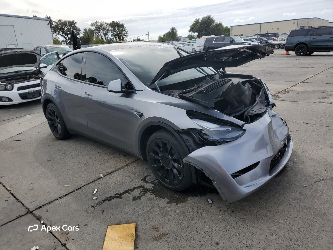 Tesla Model Y 2024
