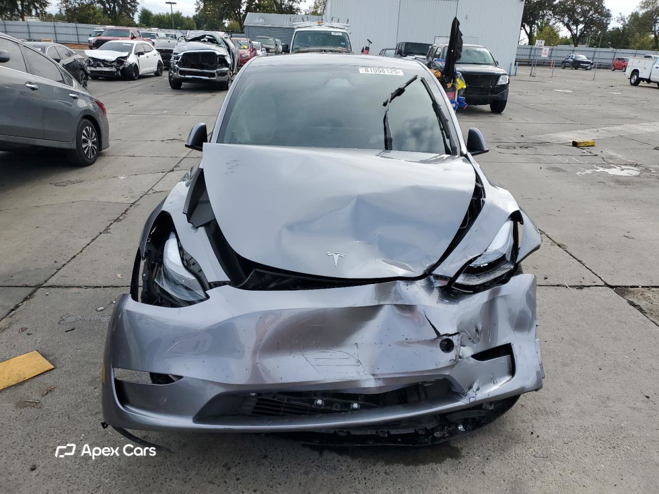 Tesla Model Y 2024