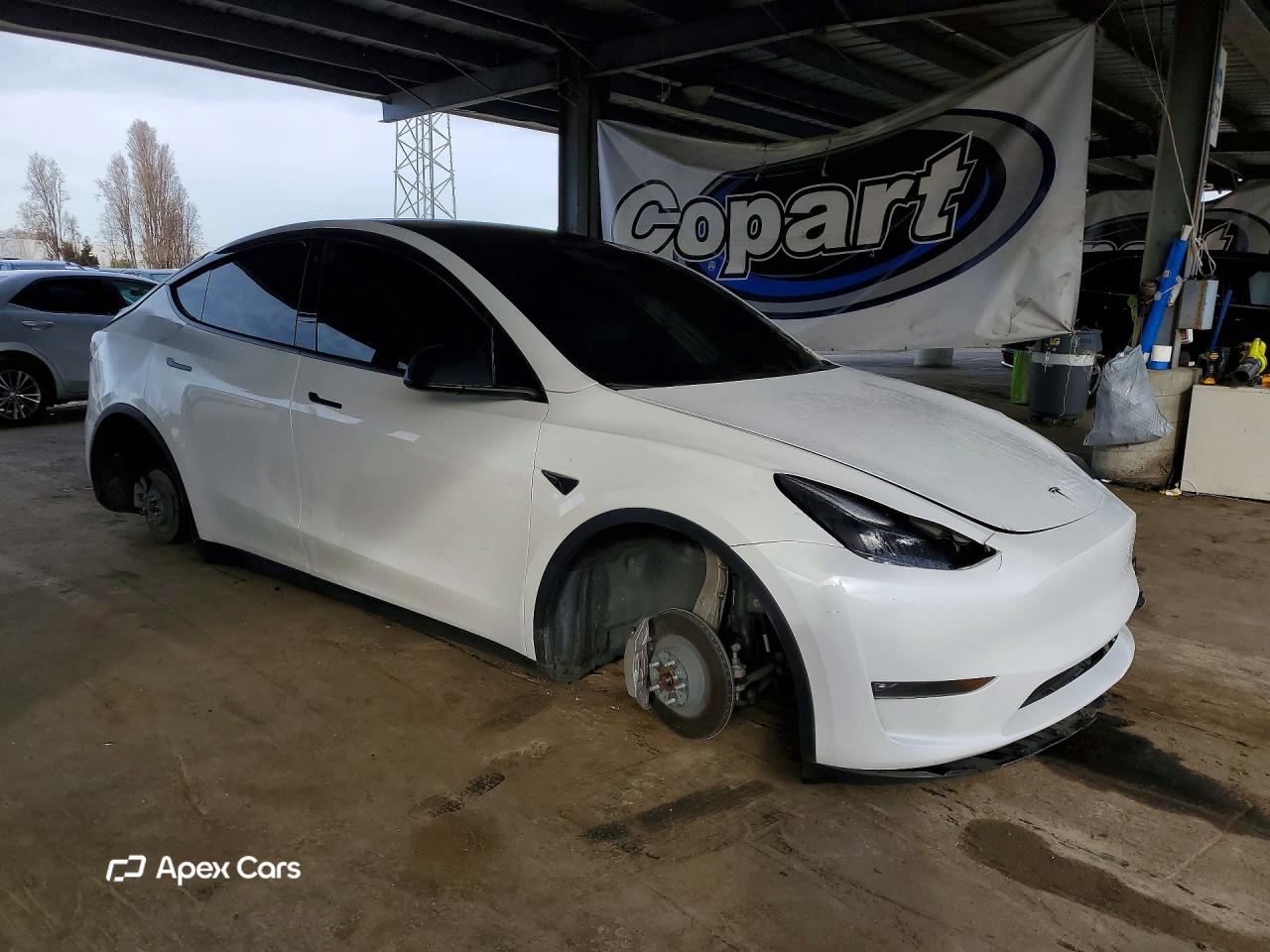 Tesla Model Y 2023