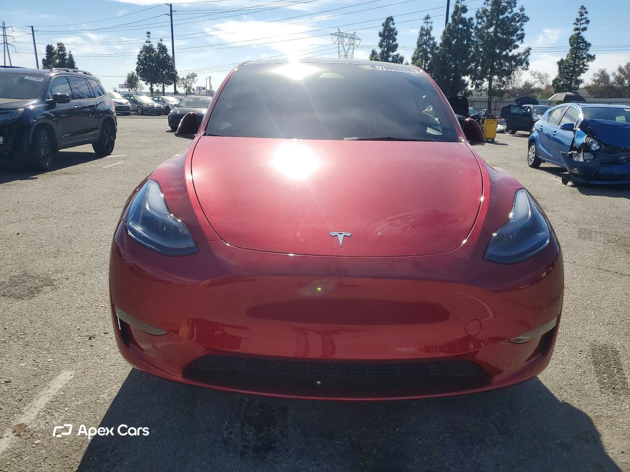 Tesla Model Y 2024