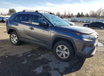 Toyota RAV 4 2021