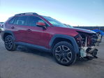 Toyota RAV 4 2020
